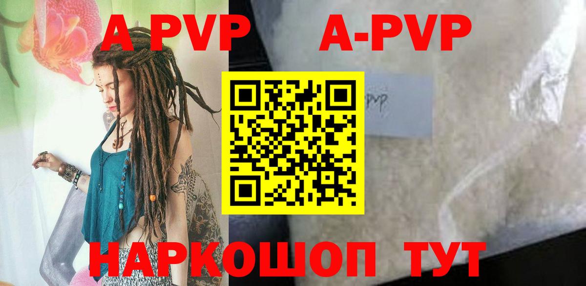 APVP СК КРИС  Альфа ПВП СК КРИС  Аргун  Вход с VPN 