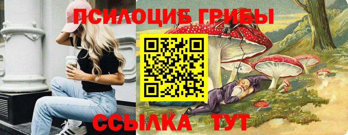 Псилоцибиновые грибы Cubensis Аргун